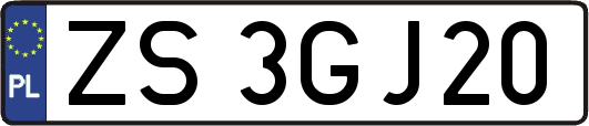 ZS3GJ20