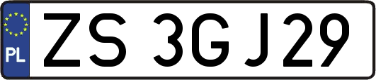ZS3GJ29