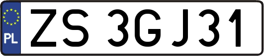 ZS3GJ31