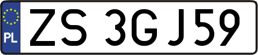 ZS3GJ59