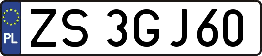 ZS3GJ60