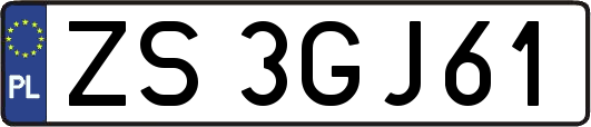 ZS3GJ61