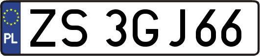 ZS3GJ66