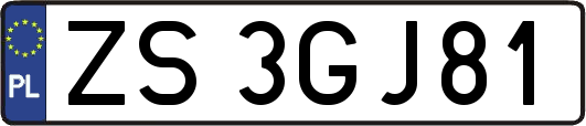 ZS3GJ81