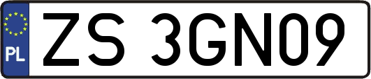 ZS3GN09