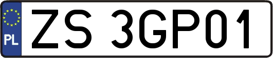 ZS3GP01