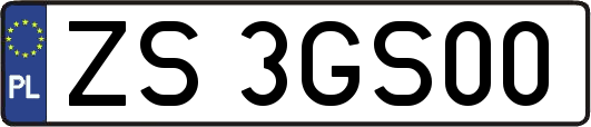 ZS3GS00