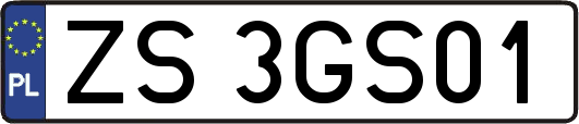 ZS3GS01