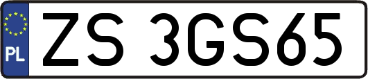 ZS3GS65
