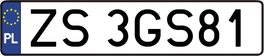ZS3GS81