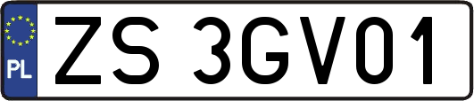 ZS3GV01