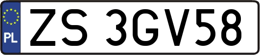 ZS3GV58