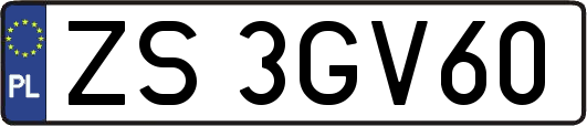 ZS3GV60