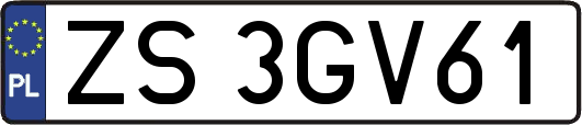 ZS3GV61