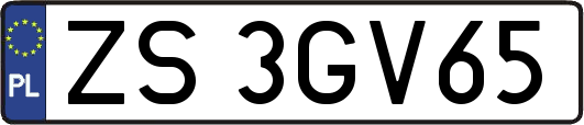 ZS3GV65