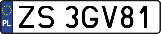 ZS3GV81