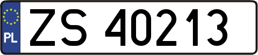 ZS40213