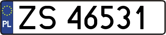 ZS46531
