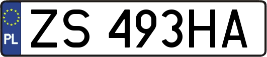 ZS493HA