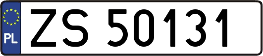 ZS50131