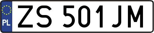 ZS501JM