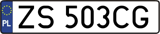 ZS503CG