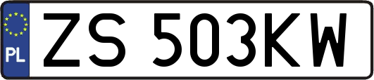 ZS503KW