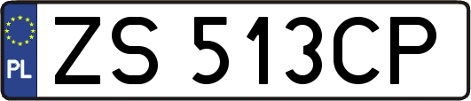 ZS513CP