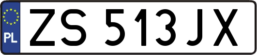 ZS513JX