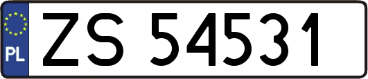 ZS54531