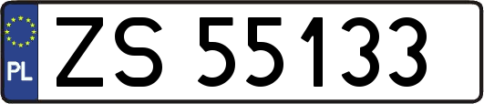 ZS55133