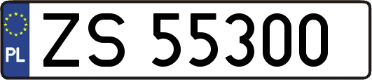 ZS55300