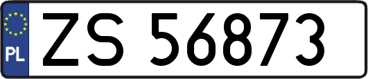 ZS56873