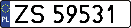 ZS59531