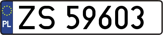 ZS59603