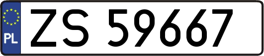 ZS59667