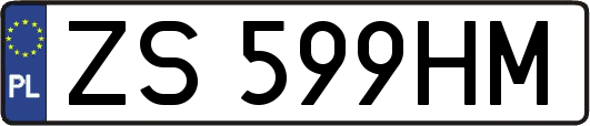 ZS599HM