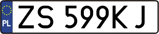 ZS599KJ