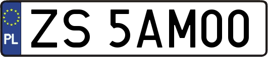 ZS5AM00