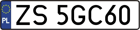 ZS5GC60