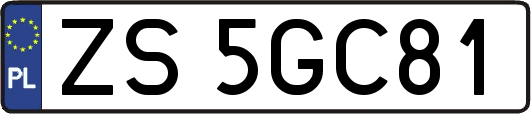 ZS5GC81