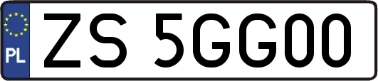 ZS5GG00