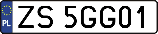 ZS5GG01