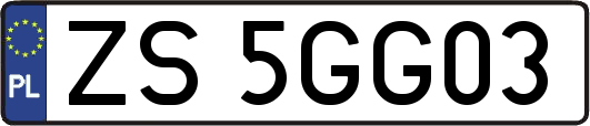 ZS5GG03