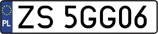 ZS5GG06