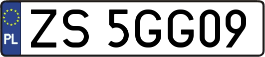ZS5GG09