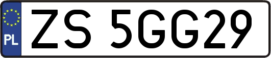 ZS5GG29