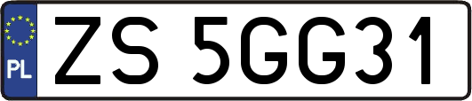 ZS5GG31