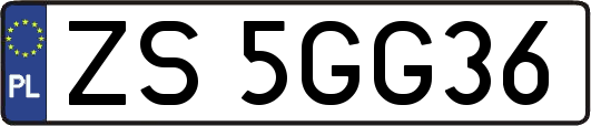 ZS5GG36