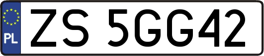 ZS5GG42